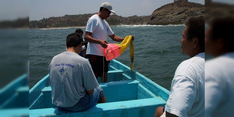 Inicia SSM muestreo en las 12 playas michoacanas 