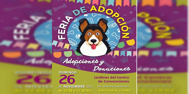 Este domingo Feria de Adopción Canina en Morelia  