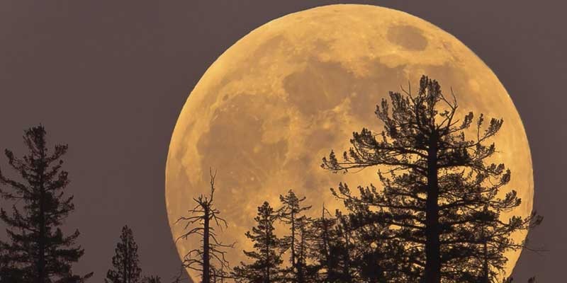 La última superluna del año podrá ser vista en todo el mundo 