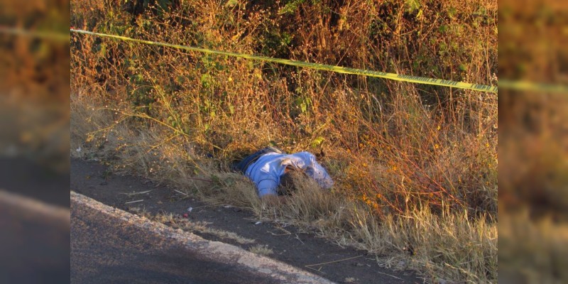 Zamora: Muere al ser arrollado por auto fantasma  