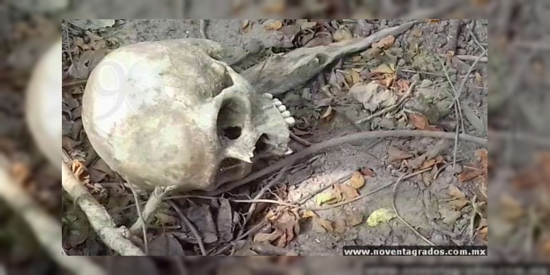 Hallan restos de tres personas en Celaya 