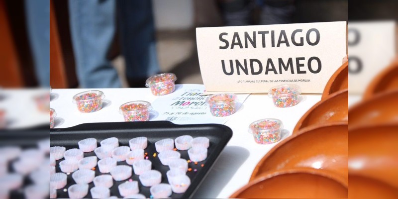 Gana plantilla gris elecciones de Jefe de Tenencia en Santiago Undameo 