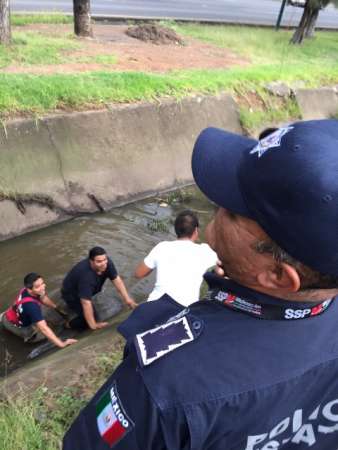 Rescatan a motociclista que cayó inconsciente a un afluente en Morelia - Foto 3 
