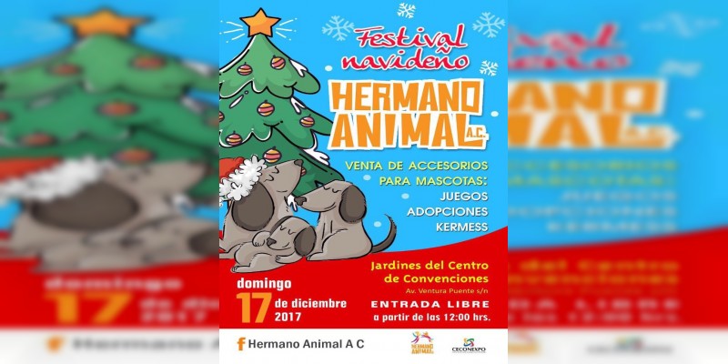 Realizarán festival navideño canino en Morelia 