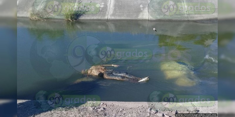 Abandonan cadáver en canal de Tepalcatepec 