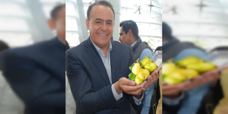 Michoacán, segundo productor nacional de pera: Sigala 