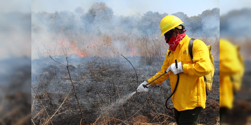 Prevé CONAFOR Michoacán disminuir 10% la superficie promedio afectada por incendios forestales en 2018 