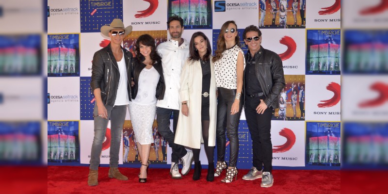 Timbiriche tendrá su serie de televisión 