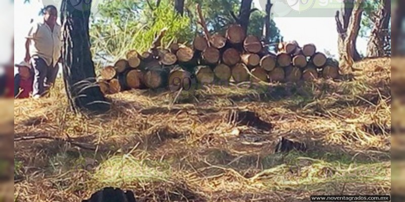 Aseguran madera talada ilegalmente en Zitácuaro - Foto 1 