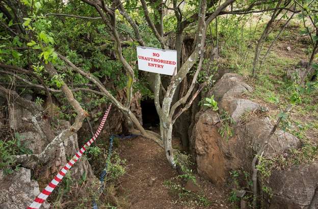Antropólogos descubren a antigua especie humana en Sudáfrica - Foto 1 