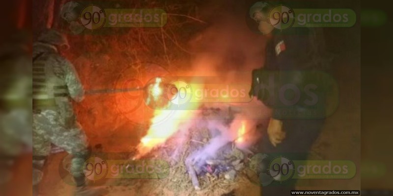 Aseguran e incineran 350 kilos de marihuana en Lázaro Cárdenas, Michoacán - Foto 0 