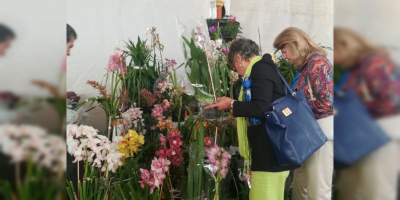Expo Orquídea San José de Gracia  2018 