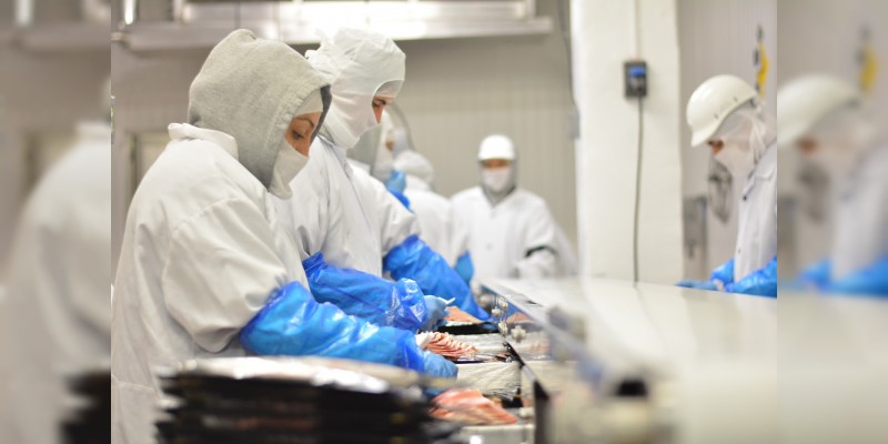 Michoacán, entre los 5 estados con mayor crecimiento del sector manufacturero 