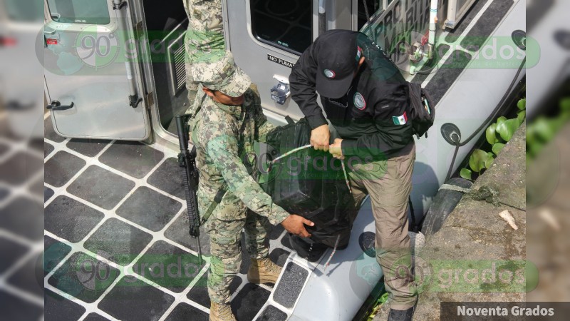 Asegura Semar más de 40 kilos de cocaína en Lázaro Cárdenas, Michoacán - Foto 4 