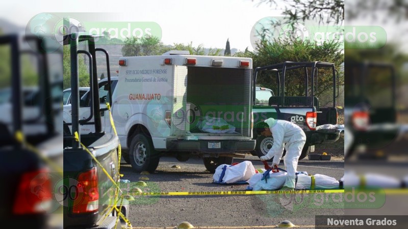 Hallan 5 personas ejecutadas en la autopista Celaya-Querétaro 