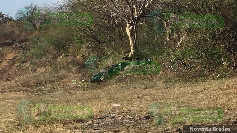 Hallan cadáver descuartizado y embolsado en Tangancícuaro, Michoacán - Foto 0 