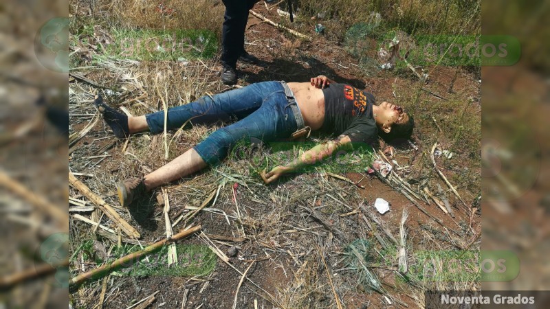Enfrentamiento deja 2 muertos y 6 heridos en Tingüindin, Michoacán - Foto 2 