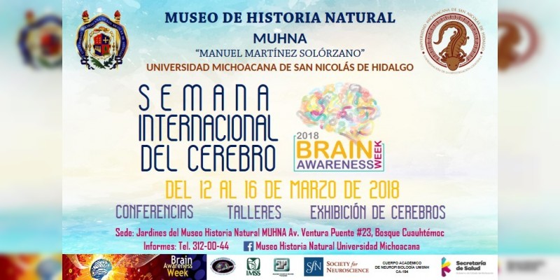 Prepara UMSNH actividades por la Semana Internacional del Cerebro 2018 