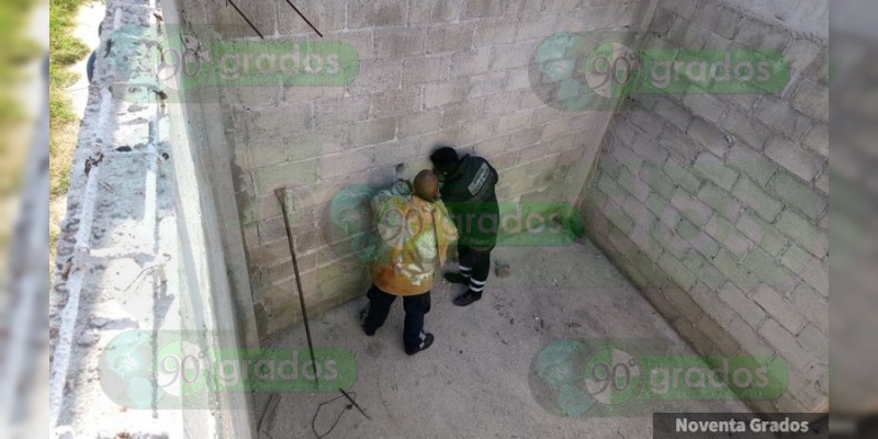 Bomberos rescatan a perro atrapado entre muros en Zitácuaro, Michoacán - Foto 1 
