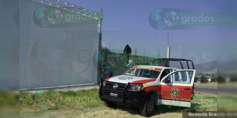 Bomberos rescatan a perro atrapado entre muros en Zitácuaro, Michoacán - Foto 3 