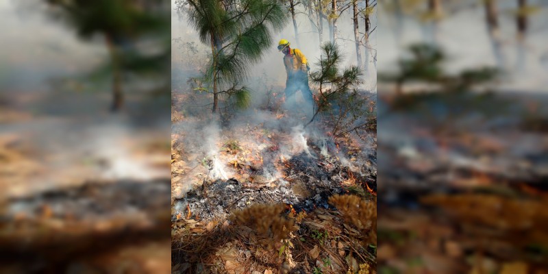 Realizan prácticas de prevención contra incendios forestales en Michoacán - Foto 0 