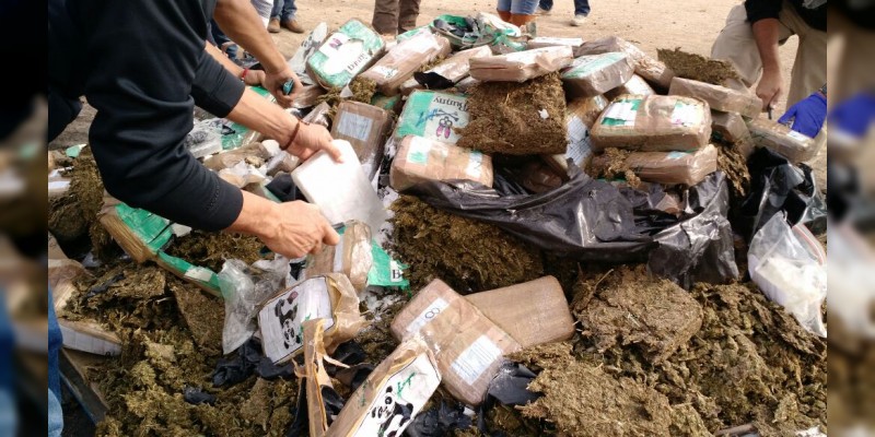 PGR incinera 280 kilos de cocaína y una tonelada de marihuana en Morelia - Foto 2 