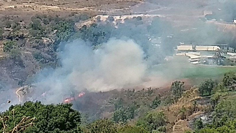 Se registra incendio forestal en las faldas del cerro El Cacique municipio de Zitácuaro, Michoacán 