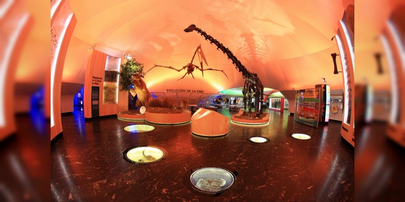 Se renueva el Museo de Historia Natural de la Ciudad de México - Foto 0 