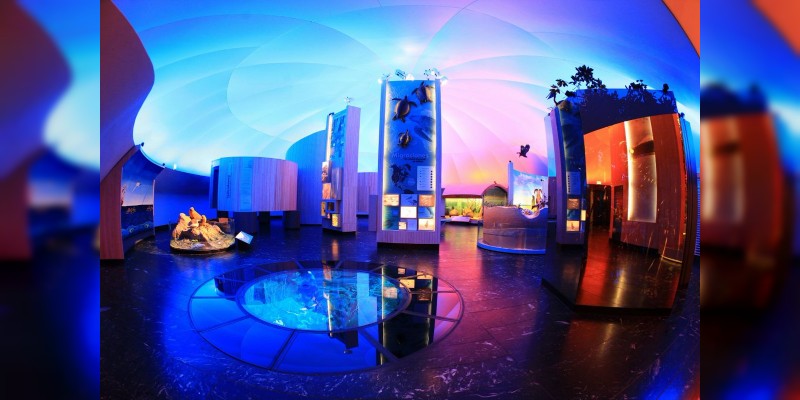 Se renueva el Museo de Historia Natural de la Ciudad de México - Foto 3 