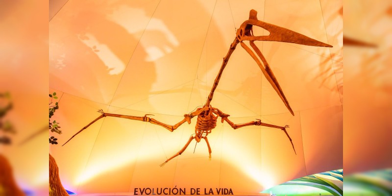 Se renueva el Museo de Historia Natural de la Ciudad de México - Foto 5 