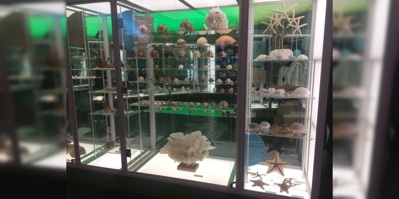 Se renueva el Museo de Historia Natural de la Ciudad de México - Foto 6 