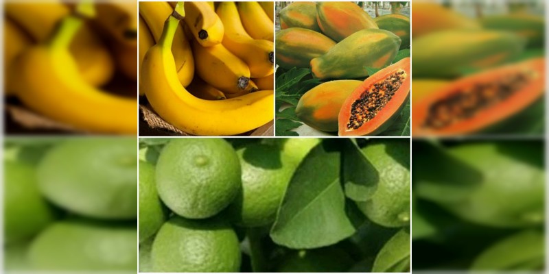 Apatzingán: Mientras que el precio del limón se mantiene en 20 pesos, el de plátano y papaya caen a un muy bajo nivel 