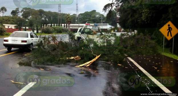 Fuerte lluvia en Uruapan, Michoacán, ocasiona inundaciones, caídas de ramas y volcadura - Foto 2 