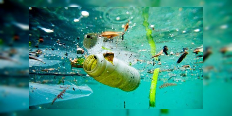 Plásticos, la gran amenaza para los mares 