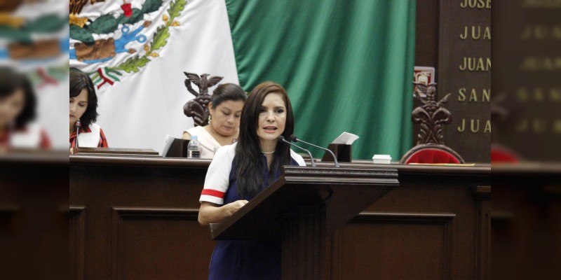 México aún reprobado en materia de derechos Humanos: Nalleli Pedraza 