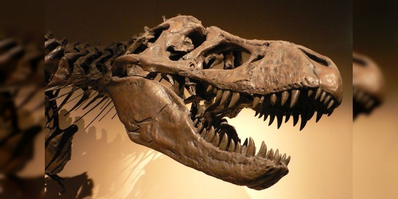 Los dinosaurios carnívoros se repartían las presas, revela estudio científico 