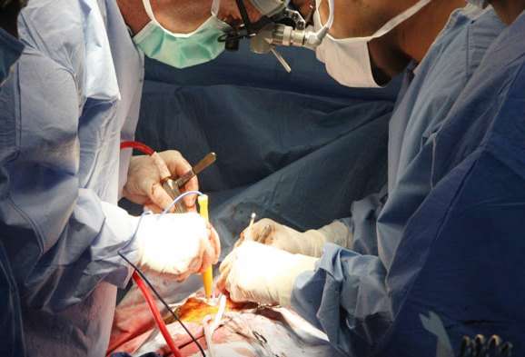 IMSS celebra este día el Día Mundial del Corazón 