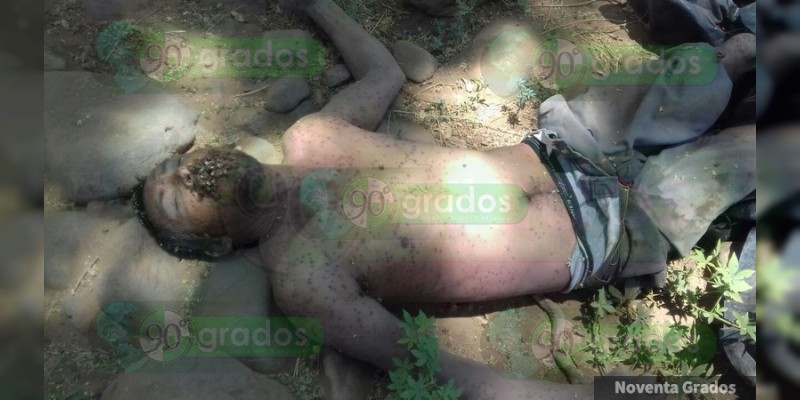 Enjambre ataca y mata a un hombre en Apatzingán - Foto 1 