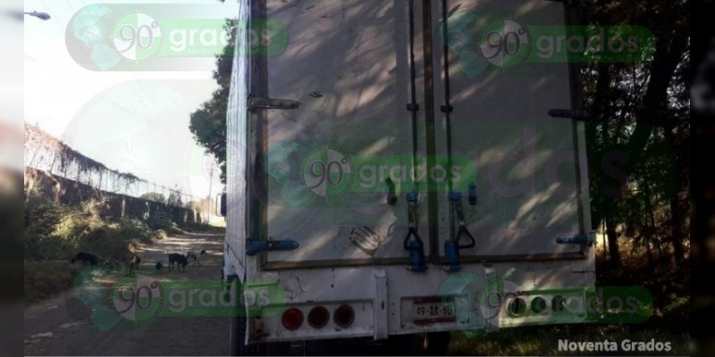 Localizan camión con reporte de robo en Uruapan, Michoacán - Foto 1 