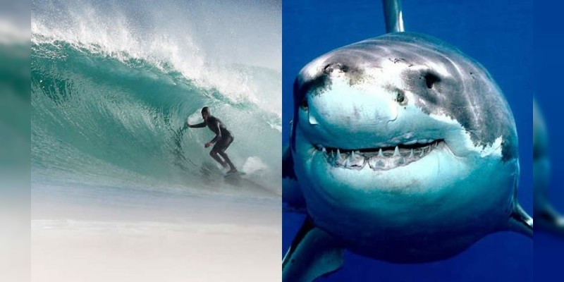 Cancelan el Campeonato Mundial de Surf por ataques de tiburones  