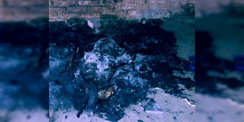 Encuentran cadáver calcinado dentro de una bodega en Celaya, Guanajuato - Foto 0 