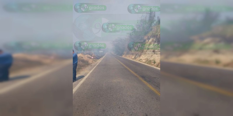 Incendios en Lázaro Cárdenas dejan animales muertos y daños materiales - Foto 1 