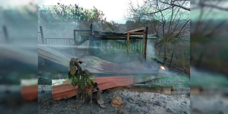 Incendios en Lázaro Cárdenas dejan animales muertos y daños materiales - Foto 2 