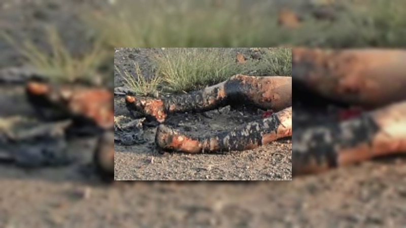 Hallan cuerpos calcinados en Múgica, Michoacán 