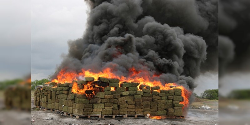 Incineran más de siete toneladas de marihuana y 180 kilos de cocaína en Tamaulipas - Foto 0 