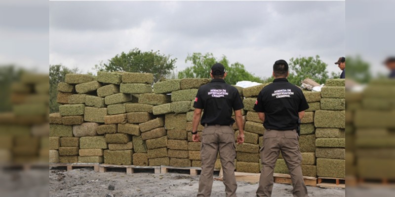 Incineran más de siete toneladas de marihuana y 180 kilos de cocaína en Tamaulipas - Foto 1 