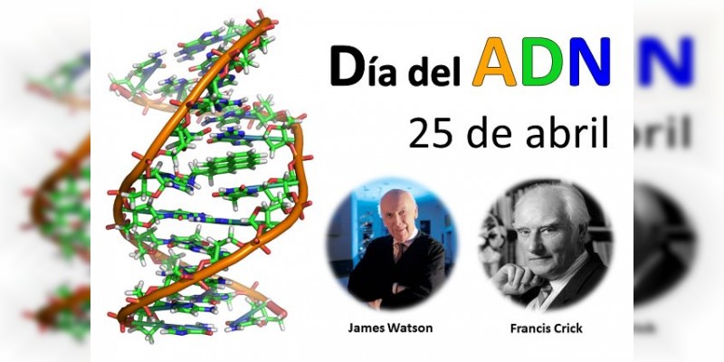 Hoy 25 de abril es el Día Internacional del ADN  