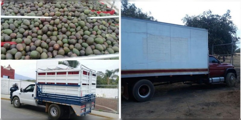 Recupera la SSP Michoacán camión aguacatero robado en Uruapan 