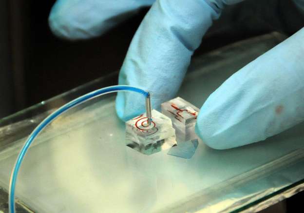 Desarrollan en la UNAM biosensor que medirá glucosa e insulina en diabéticos - Foto 0 