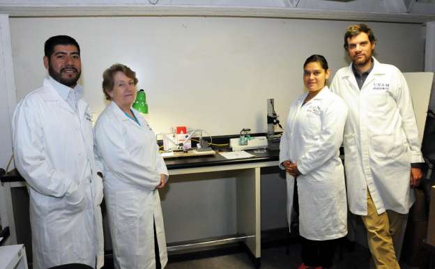 Desarrollan en la UNAM biosensor que medirá glucosa e insulina en diabéticos - Foto 1 